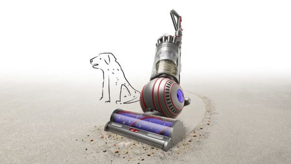 Dyson Ball Animal 3 Plus vacuum