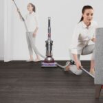 Dyson Ball Animal 3 Plus vacuum