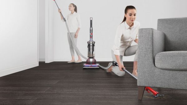 Dyson Ball Animal 3 Plus vacuum