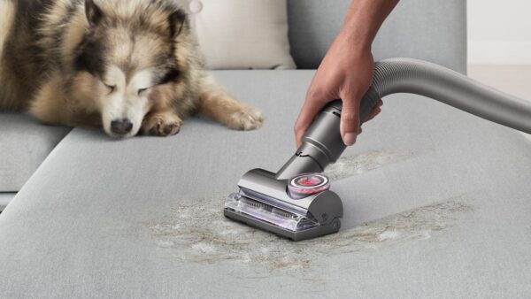 Dyson Ball Animal 3 Plus vacuum