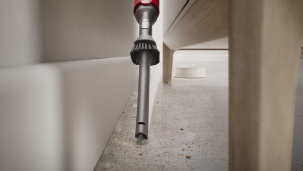 Dyson Ball Animal 3 Plus vacuum